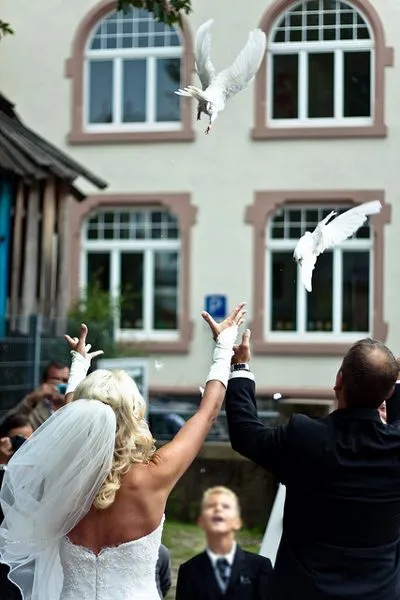 Białe gołębie symbolizują miłość