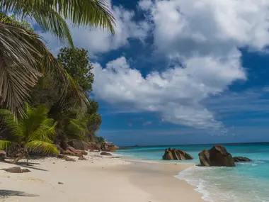 Rajska plaża na Seszelach z palmami, granitowymi skałami i turkusową wodą