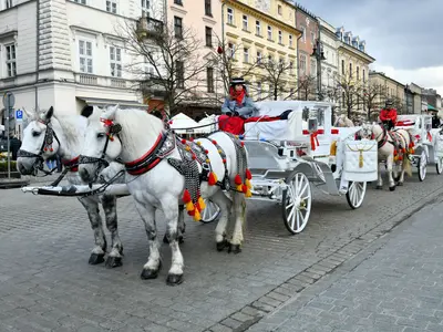 Białe dorożki z siwymi końmi w odświętnej uprzęży na brukowanej ulicy starego miasta