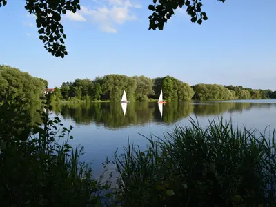Spokojne jezioro otoczone lasem i trzcinami, po którym płyną dwie białe żaglówki