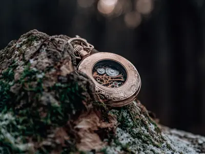 Zdobiony zegarek kieszonkowy z odsłoniętym mechanizmem leży na omszałym pniu drzewa
