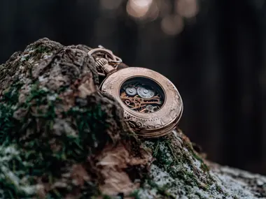 Zdobiony zegarek kieszonkowy z odsłoniętym mechanizmem leży na omszałym pniu drzewa