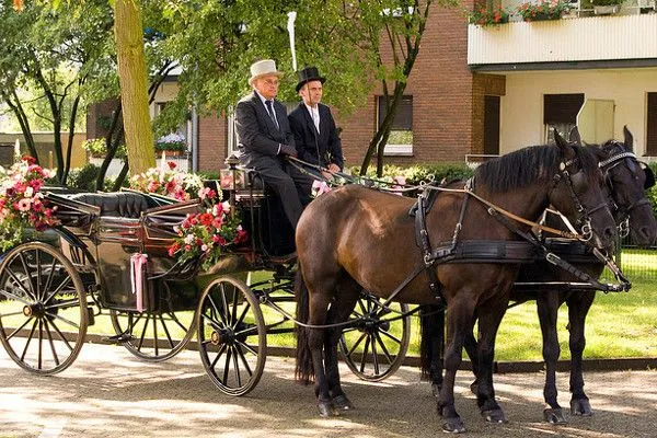 A może tak pojechać do ślubu dorożką?