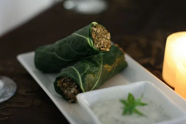 Dolmades z tzatziki