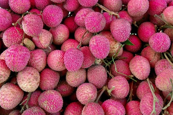 Słodkie liczi – smak Wietnamu