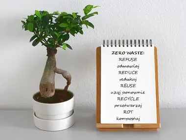 Prezent ślubny zero waste / less waste