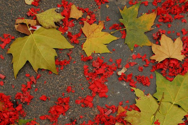 Jesienią, ciekawym pomysłem może być obrzucenie młodej pary liśćmi pomieszanymi z płatkami róż