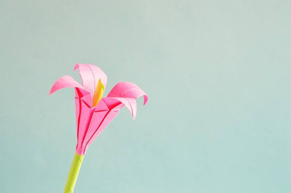 kwiaty origami na pierwsza rocznice
