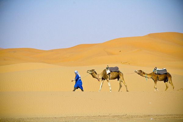 Będąc w Maroku warto skusić się na przejażdżkę na wielbłądzie