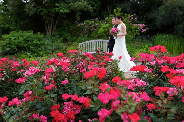 Ślubna sesja zdjęciowa w kwitnącym ogrodzie