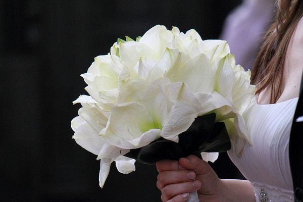 Kuliste bukiety najczęściej wykonywane są z jednego rodzaju kwiatów
