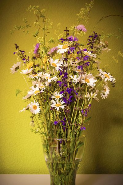 Bukiet polnych kwiatów