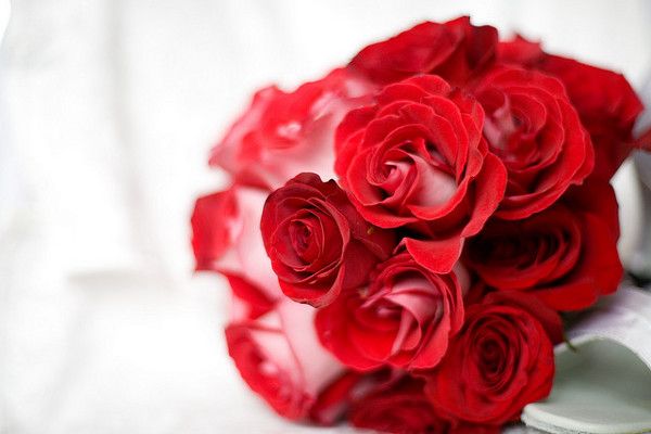 Czerwone róże są symbolem ogromnej miłości!