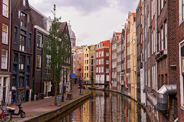 Kolorowa Holandia