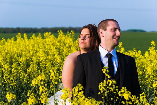 Pola rzepaku mogą być również romantycznym tłem dla ślubnych zdjęć